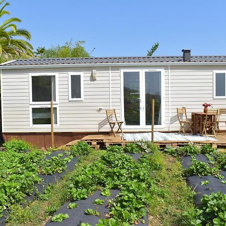 Casitas Mobil Home Вилья-де-Масо Экстерьер фото
